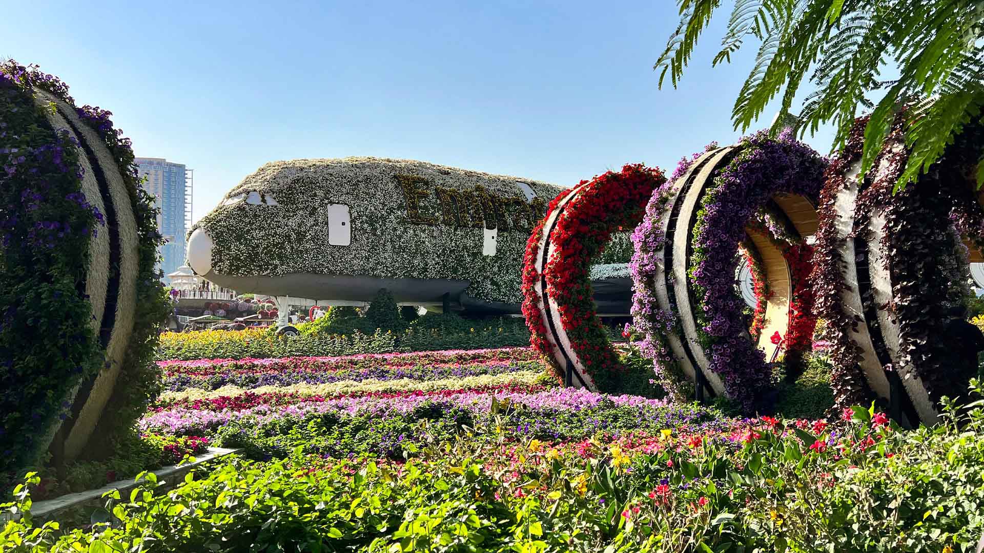A380 floral display illuminated at night