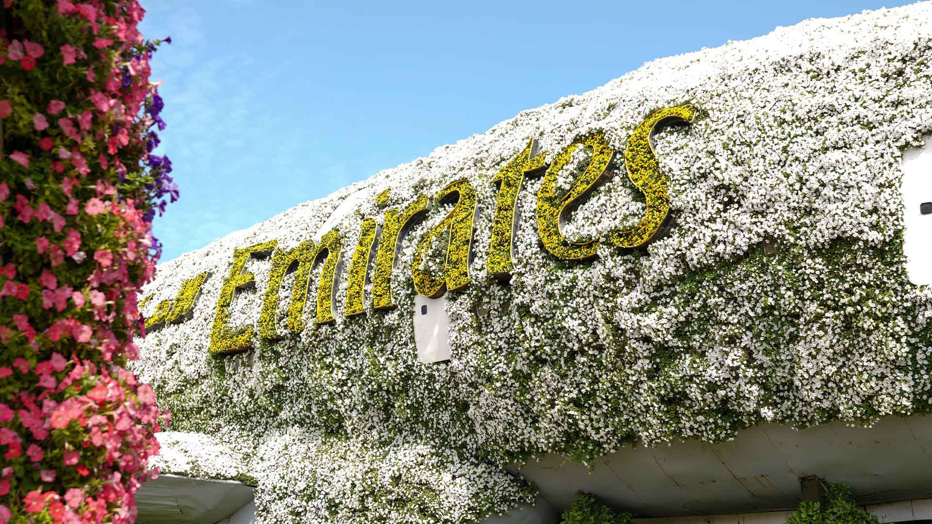 A380 floral display illuminated at night